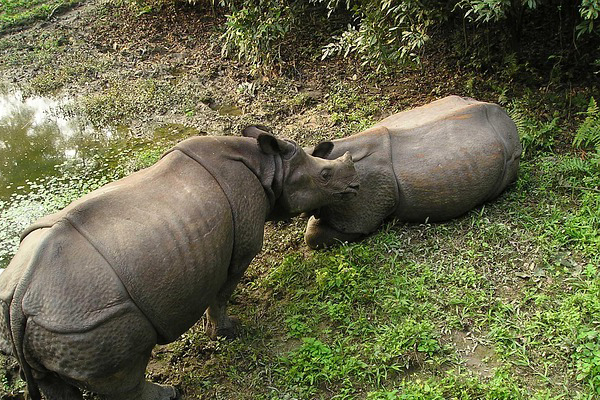 Nepal Tour Package From Gorakhpur